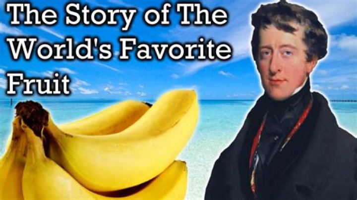 When were bananas first discovered?