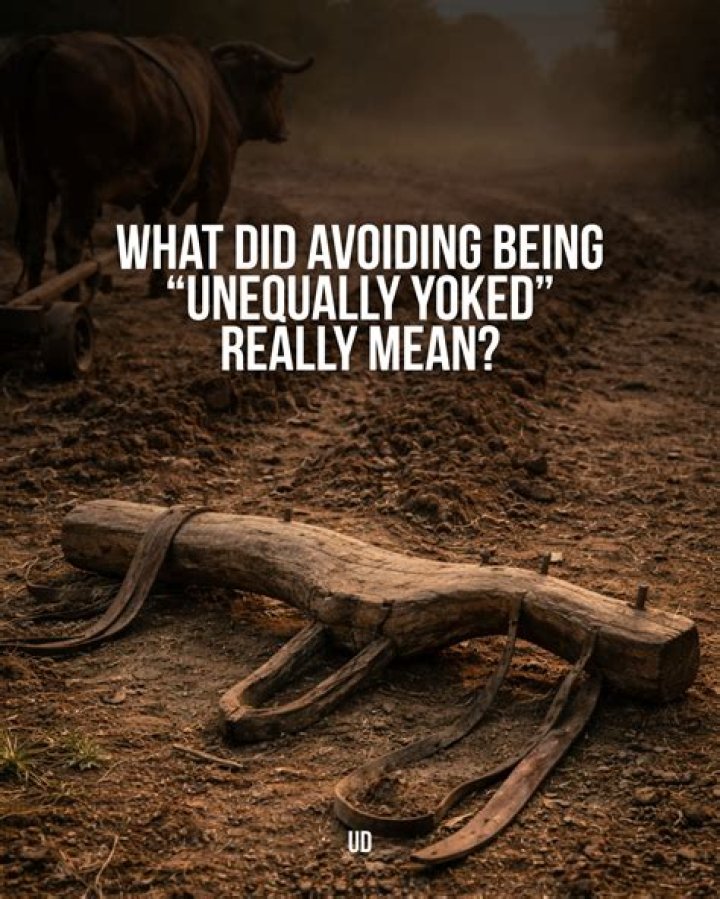 When were oxen used?