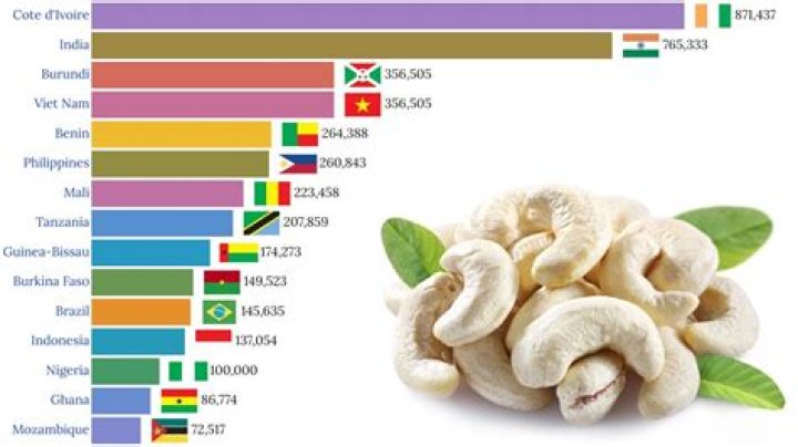 Where are cashews grown in the world?