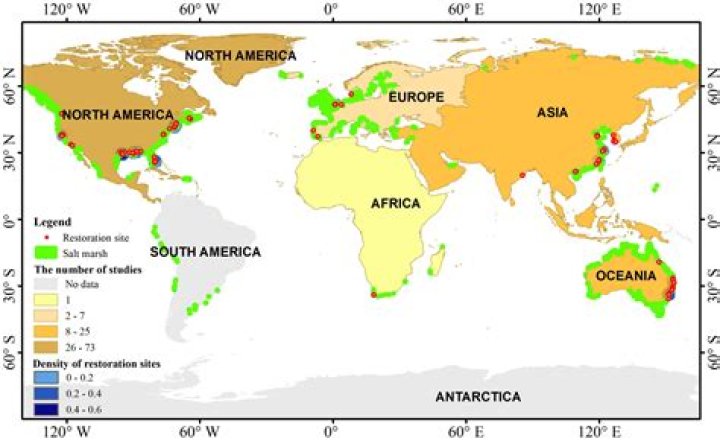Where are marshes located in the world?