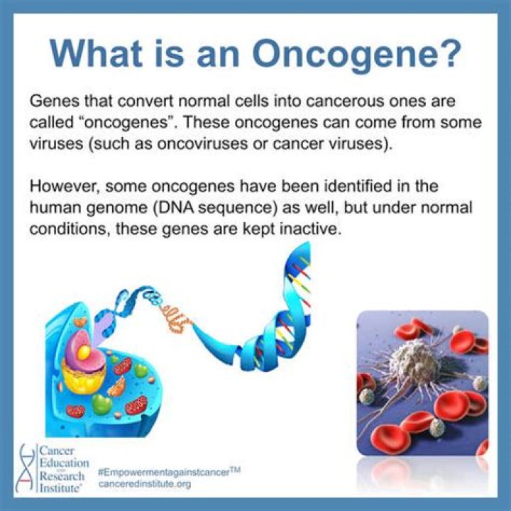 Where are oncogenes found?
