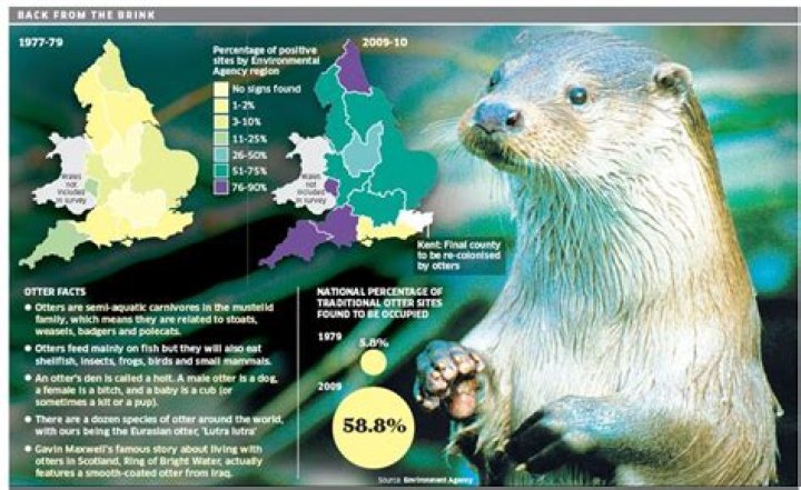 Where are otters found?