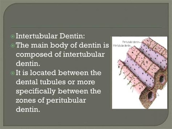 Where are peritubular and intertubular dentin located?
