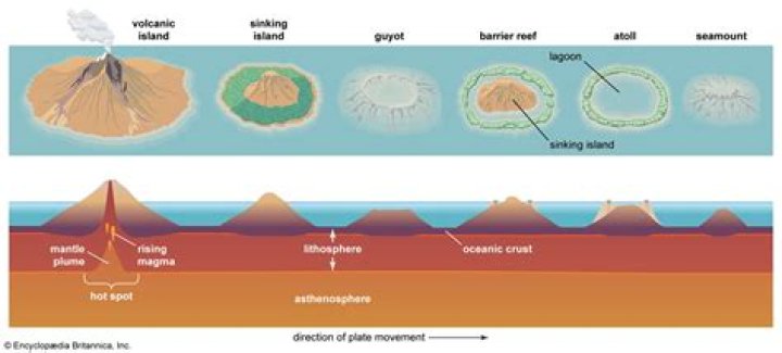 Where are seamounts formed?