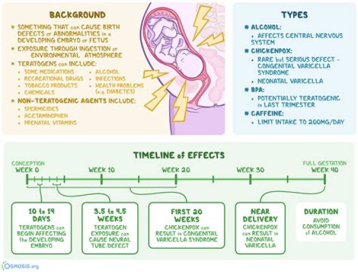 Where are teratogens found?