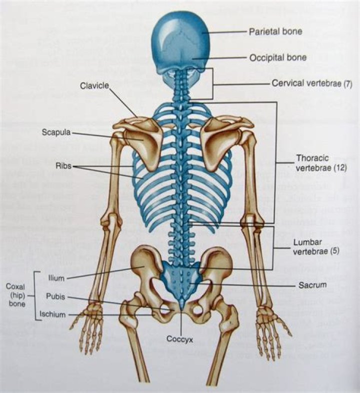 Where are the internet backbones located?