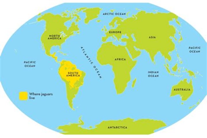 Where can bitterling be found?