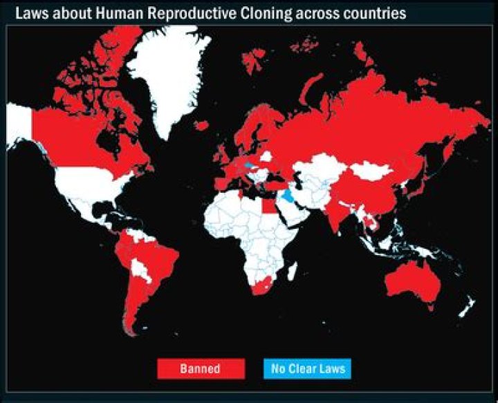 Where cloning is legal?