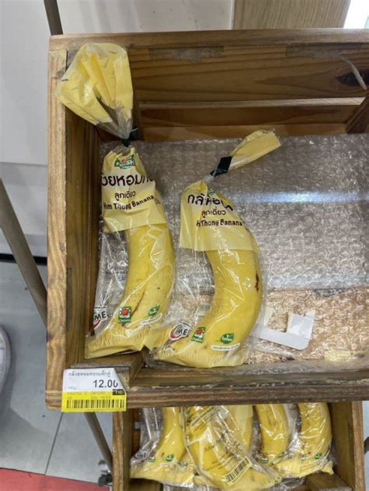 Where did annyong go?