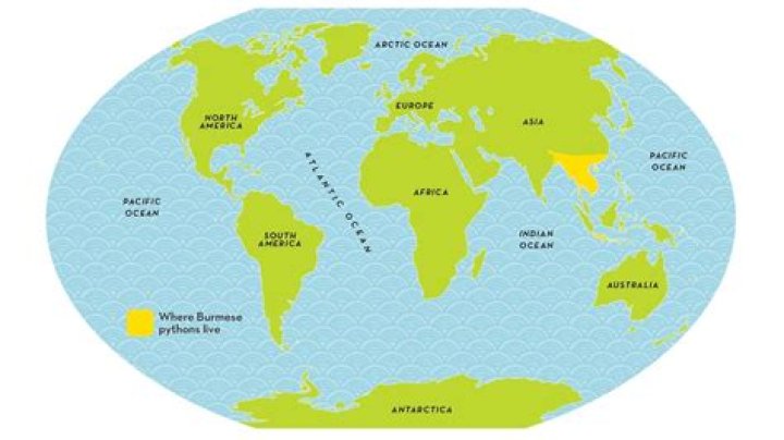 Where did dystonia originate?