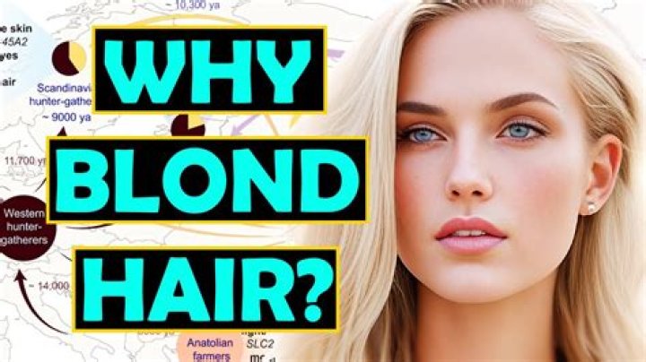 Where did hair plopping originate?