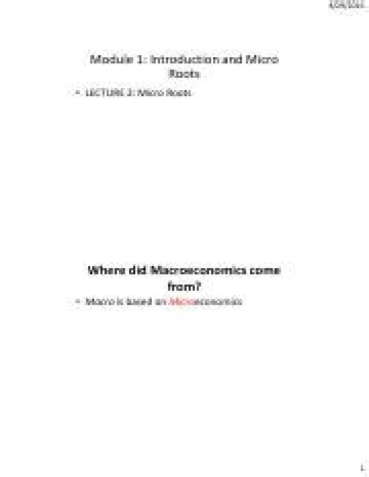 Where did macroeconomics come from?