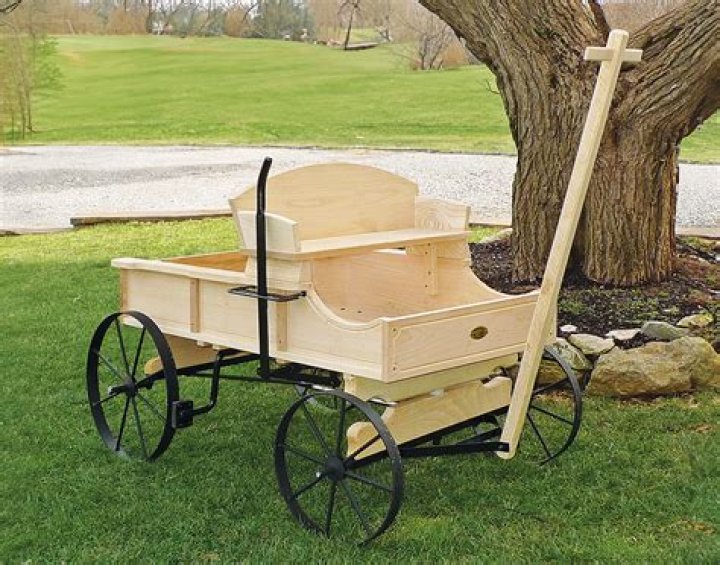 Where did the buckboard come from?