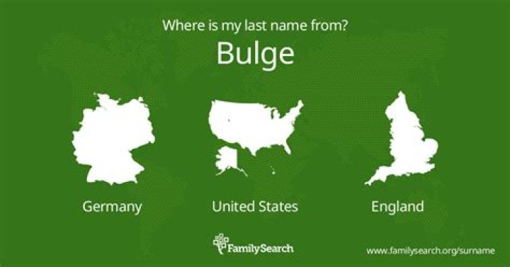 Where did the word bulge originate?