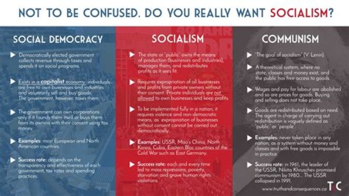 Where did the word socialism come from?
