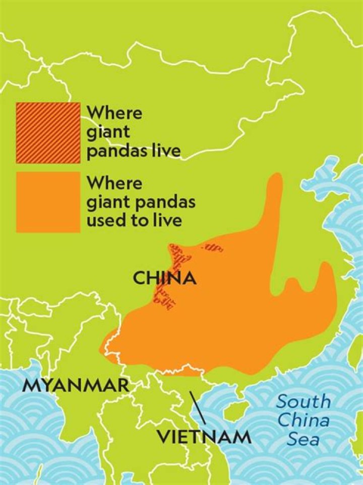 Where do banteng live?
