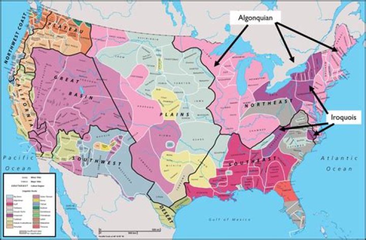 Where do chinooks occur?