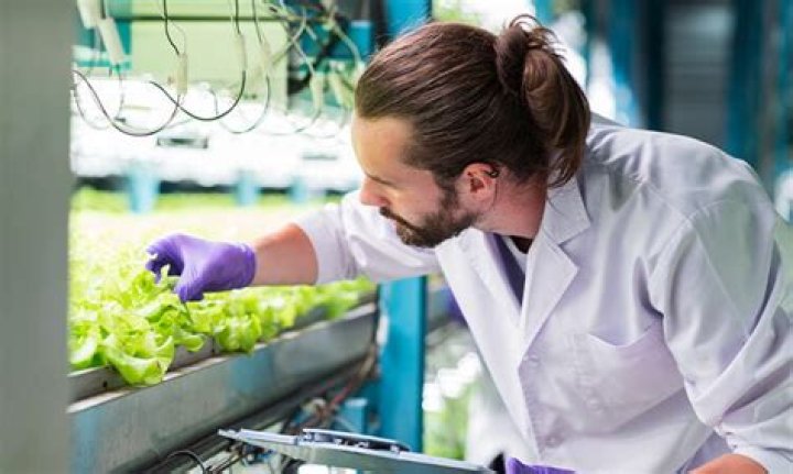 Where do food technologists work?