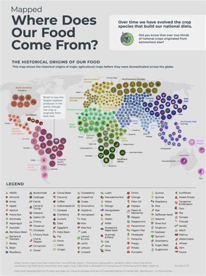 Where do imperfect foods come from?