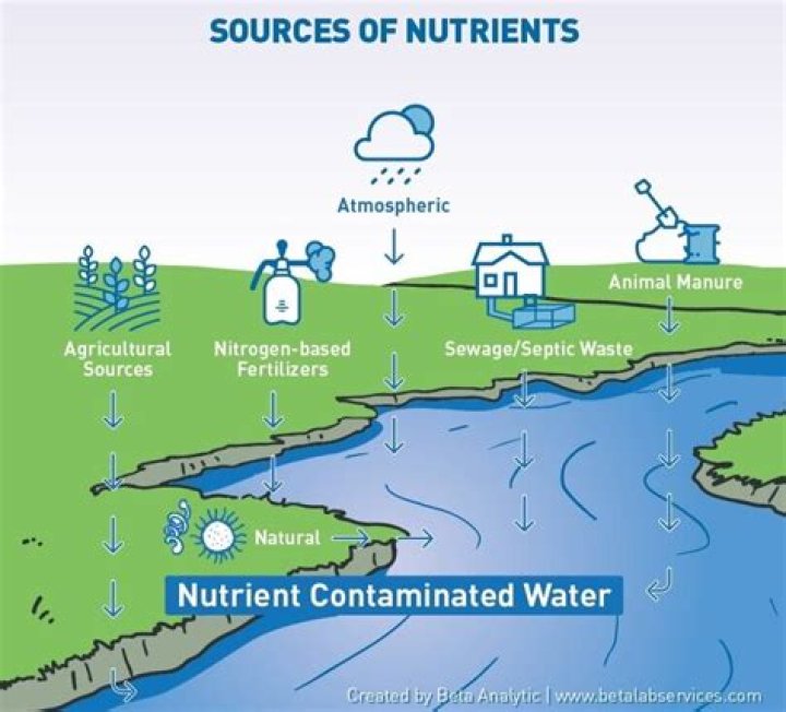Where do nitrites come from?