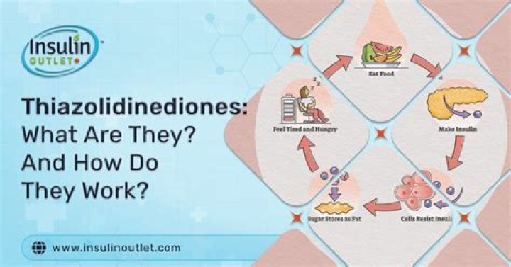 Where do thiazolidinediones work?