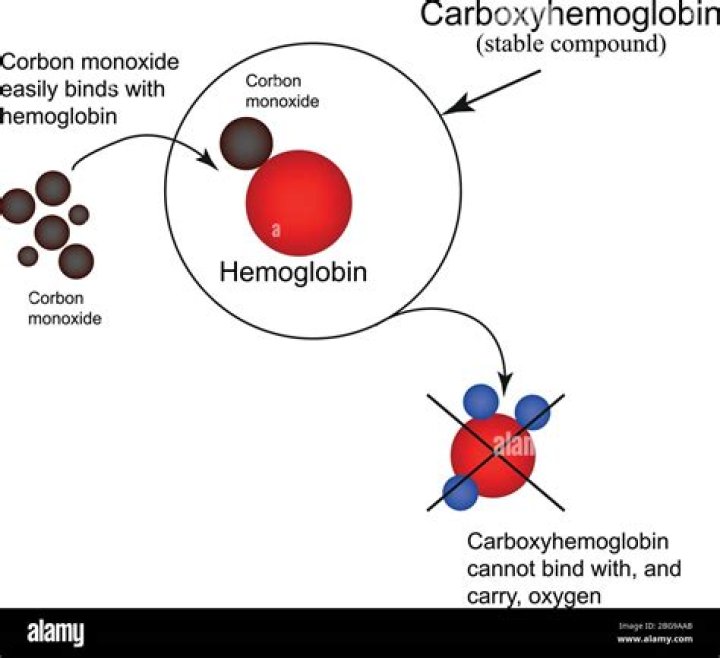 Where do you find carboxyhemoglobin?