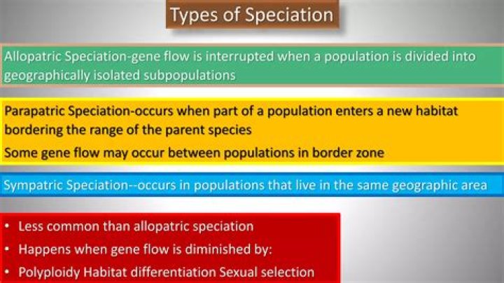 Where does allopatric speciation occur?