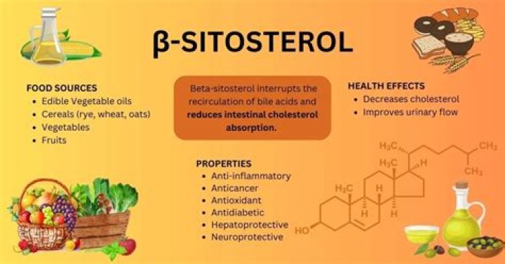 Where does beta sitosterol come from?