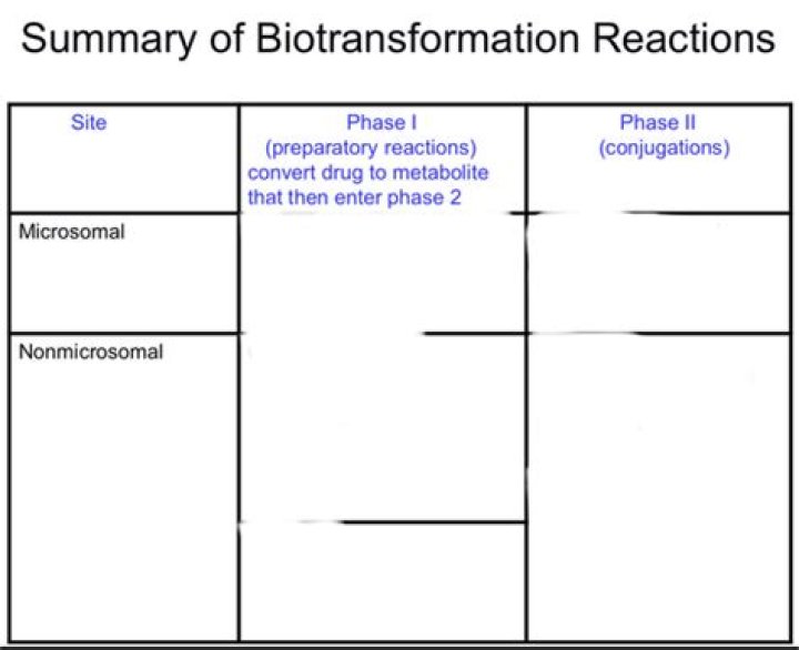Where does biotransformation occur?