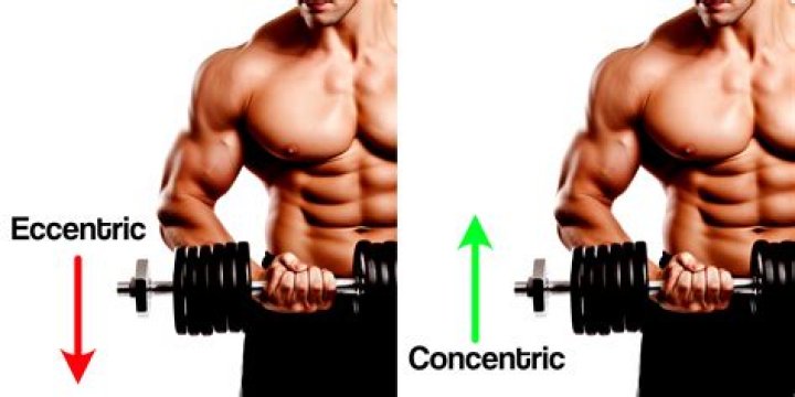 Where does eccentric mean?