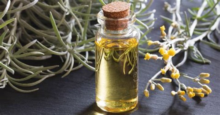 Where does helichrysum oil come from?