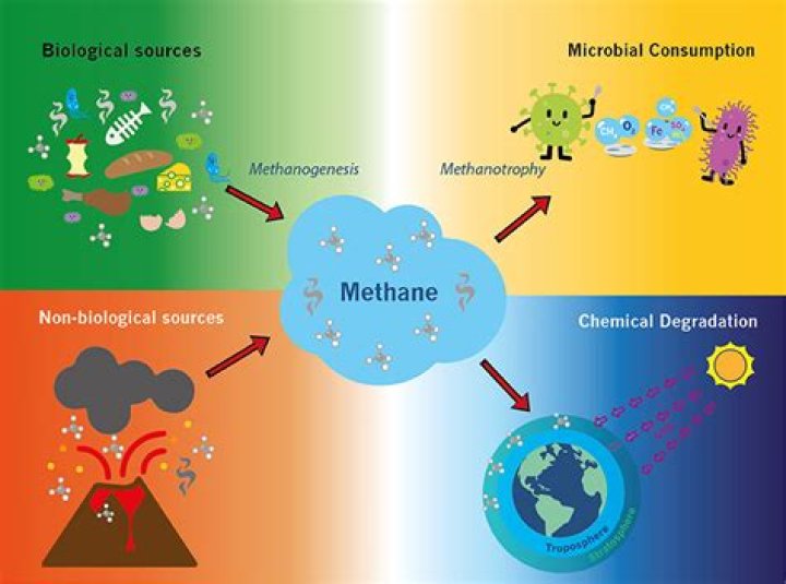Where does methane come from naturally?