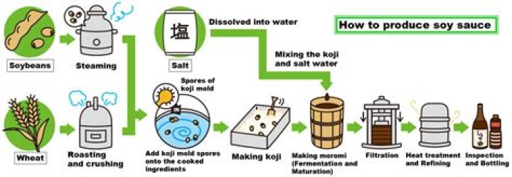 Where does soy sauce come from?