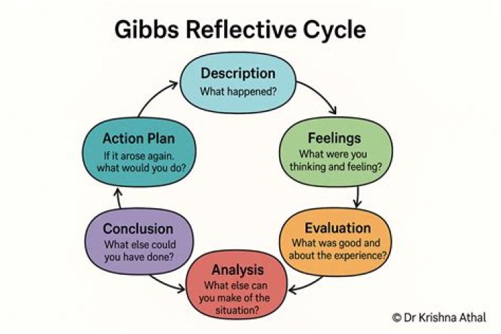Where does the gibbs phenomenon occurs?
