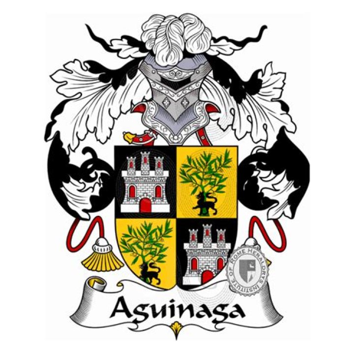 Where does the last name aguinaga come from?
