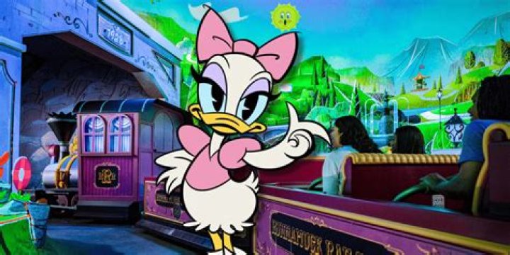 Where does the term duck come from?