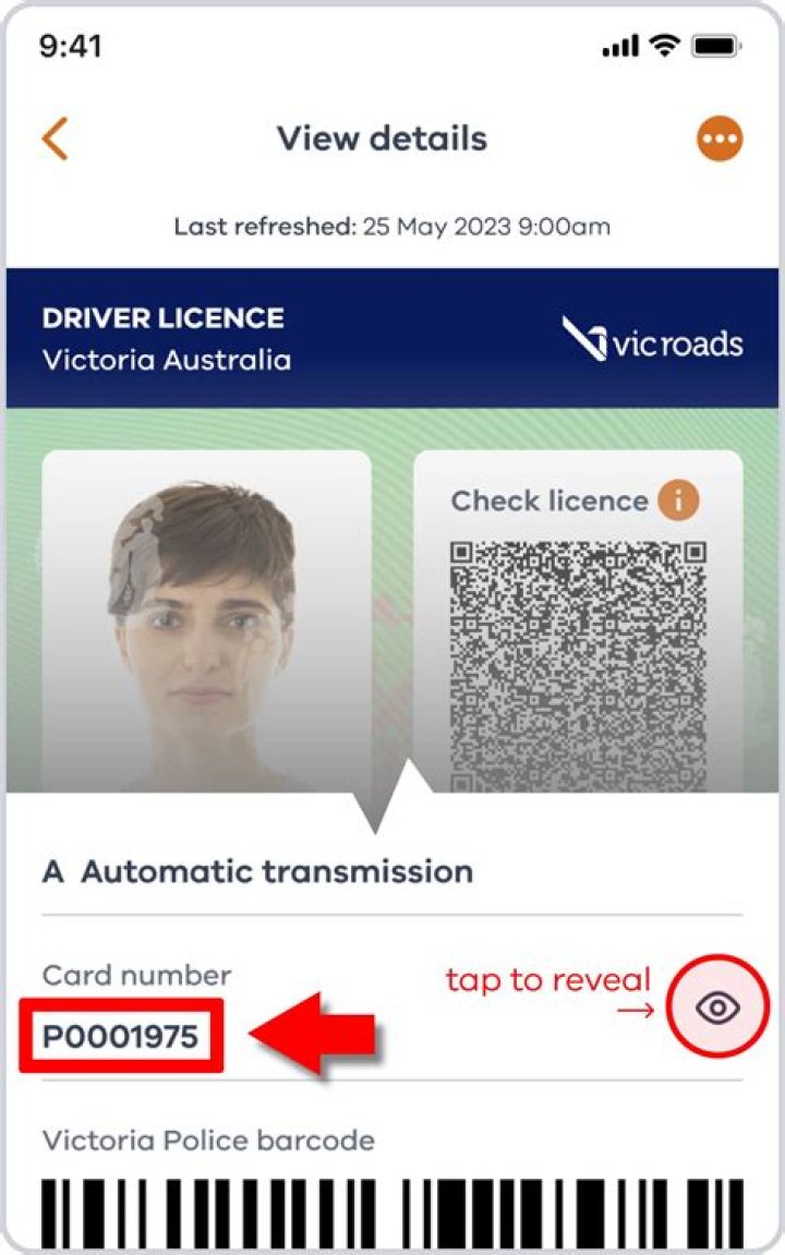 Where does vic mensa live?