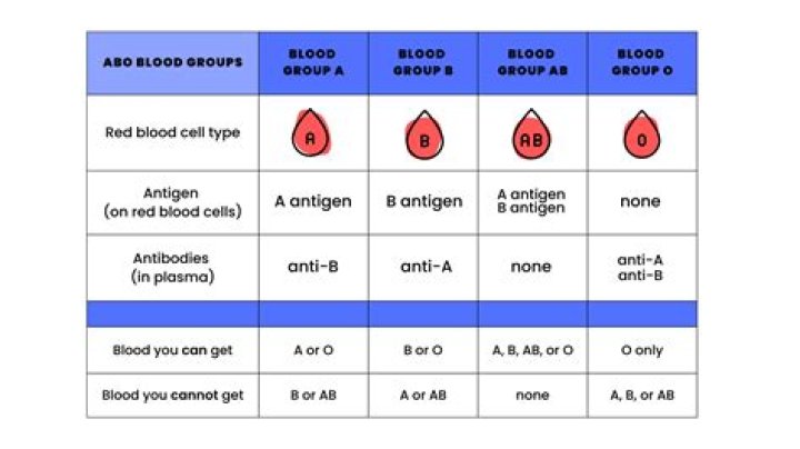 Where is a negative blood type from?