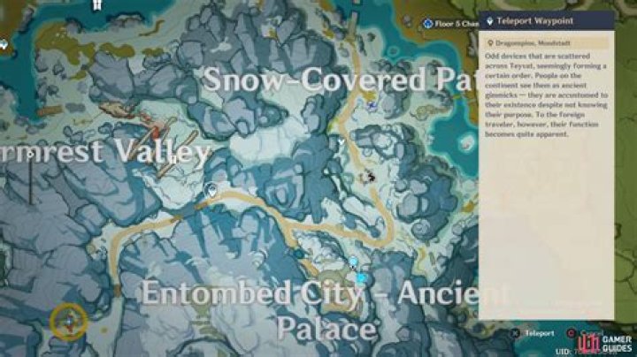 Where is albedos camp?