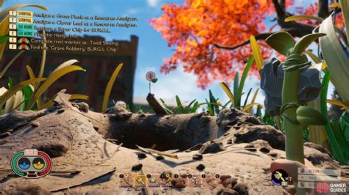 Where is anthill found?