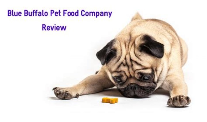 Where is blue buffalo dog food made?