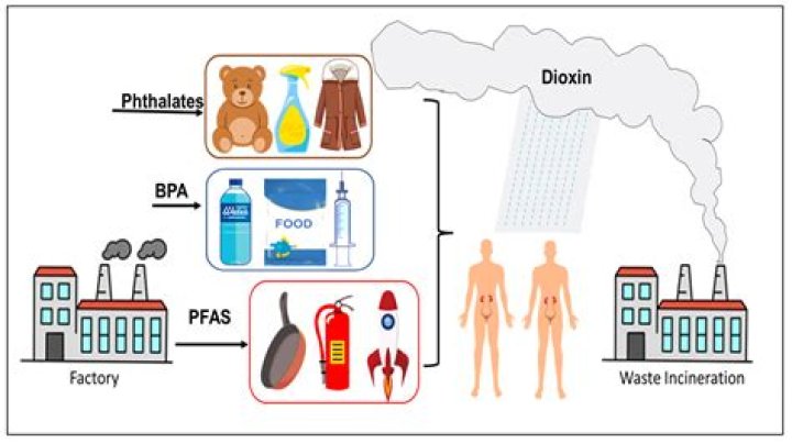 Where is bpa used?