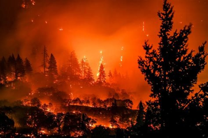 Where is chaparral fire?