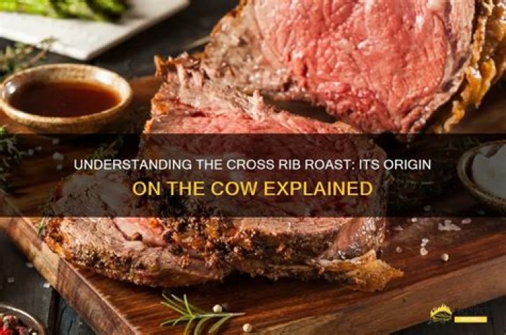 Where is cross rib roast cut from?