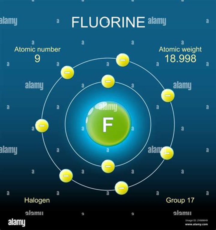 Where is fluor field?