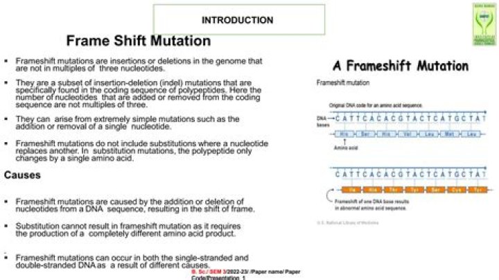 Where is frameshift mutation found?