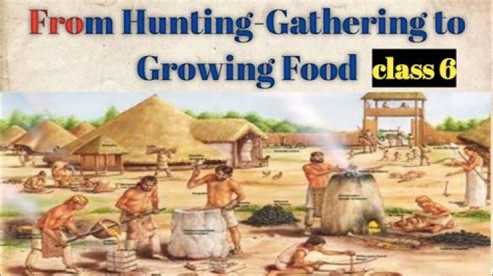 Where is hunting and gathering still practiced?