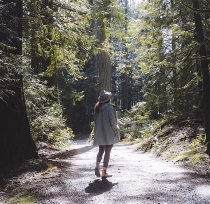 Where is kinsol trestle?