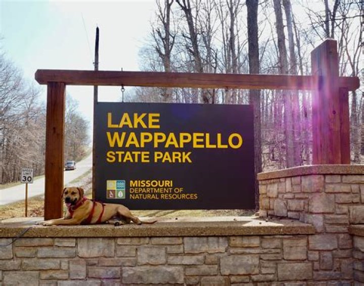 Where is lake wappapello in missouri?