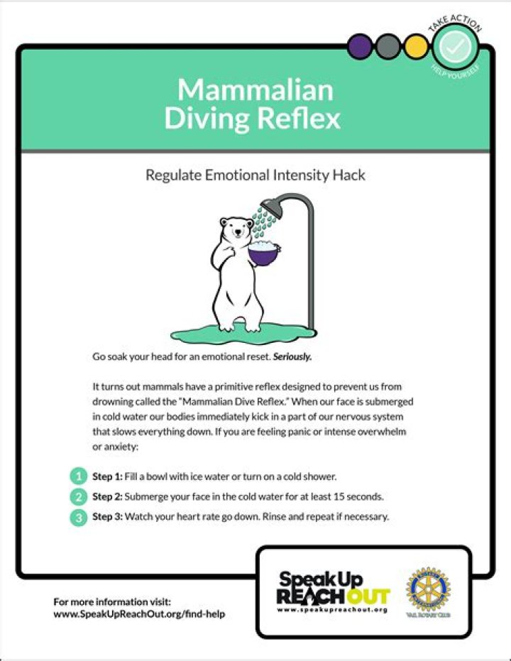 Where is mammalian diving reflex from?
